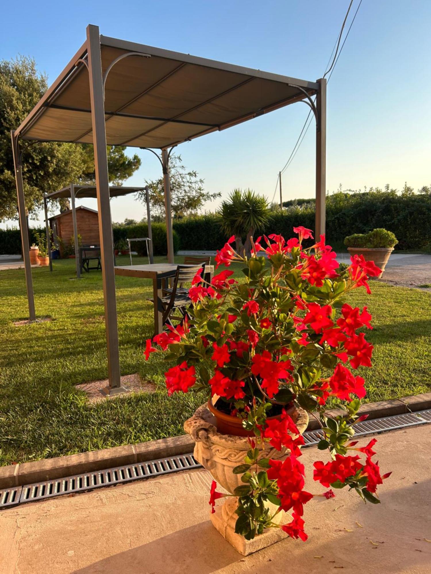 Agriturismo Da Michele E Carmela Di Voli Patrizia Доноратіко Екстер'єр фото
